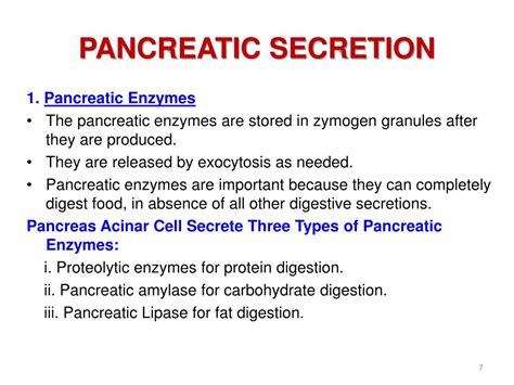 PPT - PANCREATIC SECRETION PowerPoint Presentation, free download - ID ...