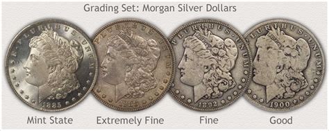 Morgan Silver Dollar Values | Discover Their Worth