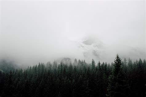 Clean Minimalistic Natural Wapaper / Simple Minimalistic Wallpapers ...