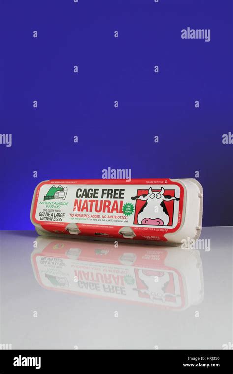 Carton of Organic Eggs Stock Photo - Alamy