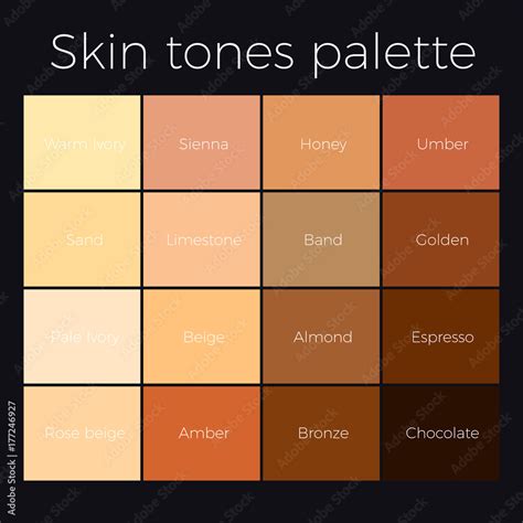 skin tones chart เวกเตอร์สต็อก | Adobe Stock