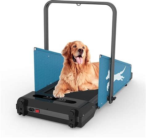 Amazon.com: SINUOLIN 2023 NEW Dog Treadmill Small Dogs - Dog Treadmill for Medium Dogs - Dog ...