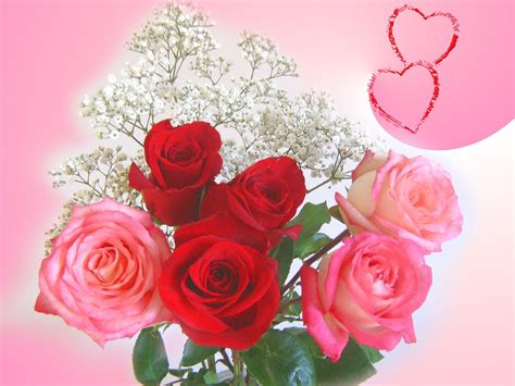 Valentine's Day Red Roses E-Cards | 2017 Valentine Card, Free Happy Valentine's Day Greeting ...