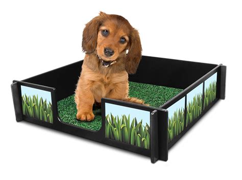 Amazon.com : Potty Rink (Dog Potty Training System) Provides an Easy - Indoor Puppy Potty ...