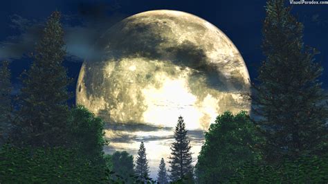 Visual Paradox Free 3D Wallpaper 'Forest Moon' 1920x1080 size wallpaper