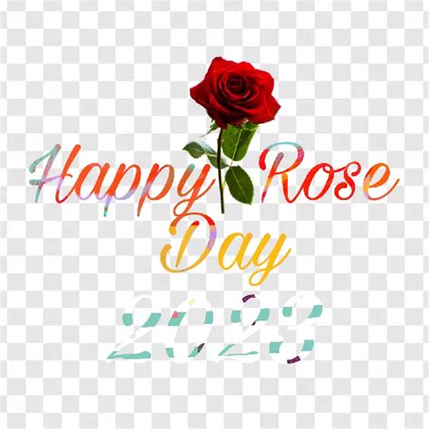 Happy Rose Day 2023 Png Transparent Background Free Download - PNG App