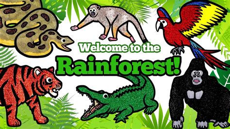 Tropical Rainforest Animals Names