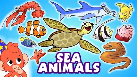 Aquatic Animals For Kids Vocabulary For Kids, 52% OFF