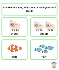 Is Sheep Singular or Plural?