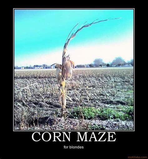 Blonde jokes | Corn maze, Demotivational posters, Blonde jokes