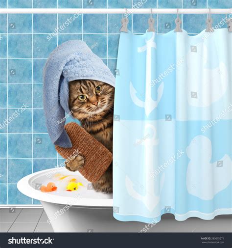 Funny Cat Taking A Bath. Stock Photo 283675571 : Shutterstock