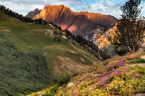 Little Cottonwood Canyon near Alta Utah Photograph by Douglas Pulsipher - Fine Art America