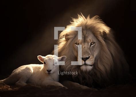 Lion and the lamb from the book of revelation — Photo — Lightstock