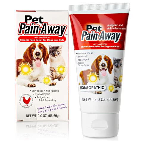 What Helps Dogs With Arthritis Pain