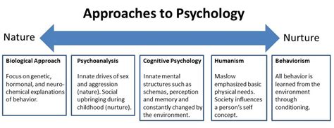 Nature vs Nurture in Personality - Practical Psychology