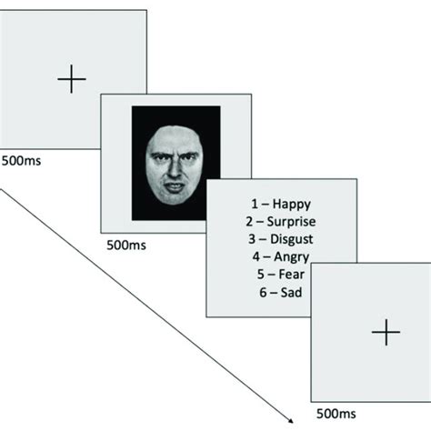 Illustration of the facial emotion recognition task. Faces expr ...