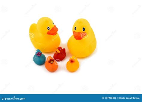 Rubber Duck Family Stock Images Stock Photo - Image of isolated, group: 107202426