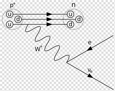 Beta Decay Feynman Diagram