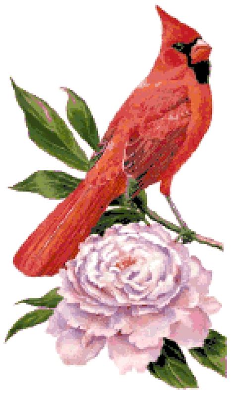 Indiana State Bird & Flower Counted Cross Stitch Pattern | Etsy