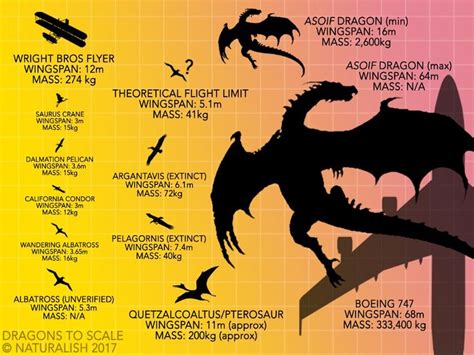 How Dragons Fly: When Biology Trumps Physics | Dragon, Dragonfly, Game of thrones dragons