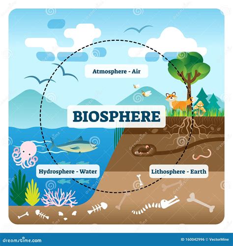 Biosphere, Atmosphere, Lithosphere, Hydrosphere Vector Illustration ...