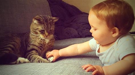 Cats and Babies 🐱👶 Cute Babies Playing with Cats (Part2) [Epic Life] - YouTube