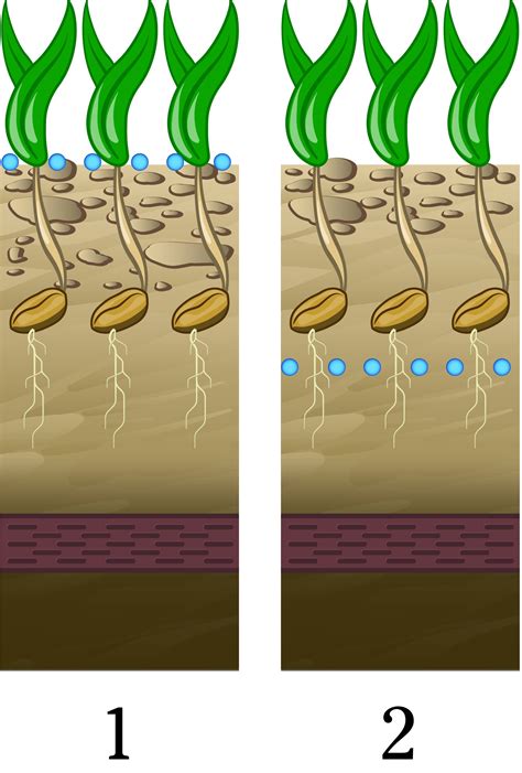 Seedbed preparation for maximum yield | Väderstad