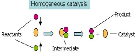 Homogeneous Catalysis - QS Study