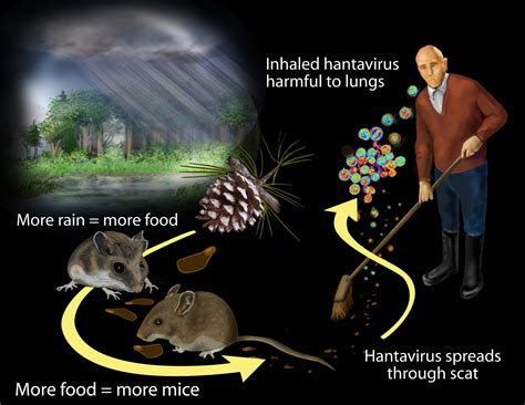 Loss Of Biodiversity Will Make You Sick | The Sietch Blog