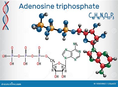 Adenosine Triphosphate Structure Stock Photo | CartoonDealer.com #84221166