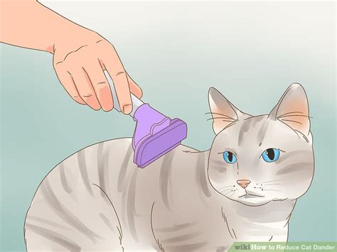 4 Ways to Reduce Cat Dander - wikiHow