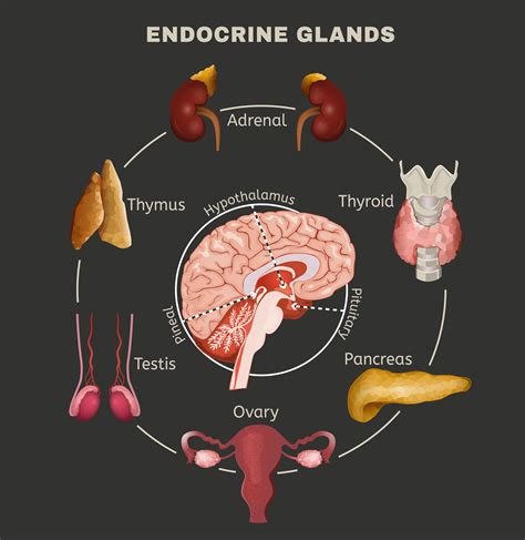 Hormone Q&A Series: Part 1 - Wise and Well