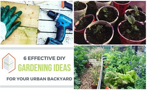 Diy urban vegetable garden | Hawk Haven