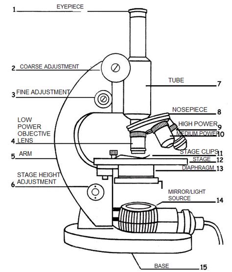 Microscope Diagram And Labels