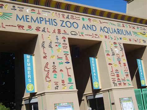 Outstanding - Review of Memphis Zoo, Memphis, TN - Tripadvisor