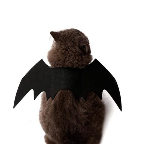 New Pet Dog Cat Bat Wing Cosplay Prop Halloween Fancy Dress - Snooty Cats