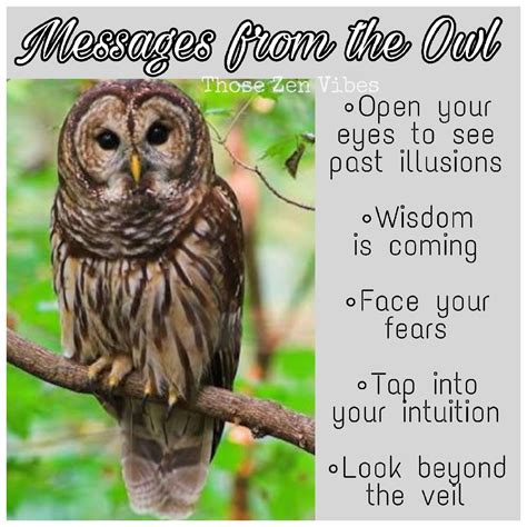 Spirit Animal Owl Meaning ~ Seeing past illusions, wisdom is coming ...