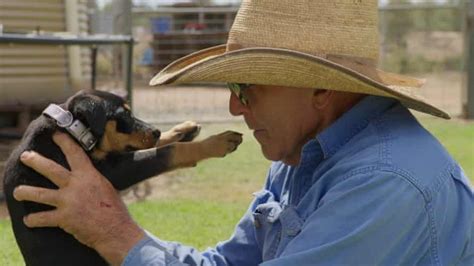 Muster Dogs: the new Australian reality show set to charm the world | Television | The Guardian