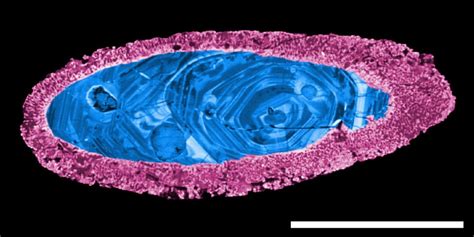 Australian meteor crater is the oldest known crater on Earth