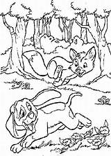 The Fox And Hound 2 Coloring Pages sketch template