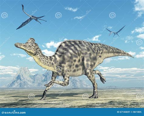 Dinosaur Velafrons On White Background Stock Illustration | CartoonDealer.com #67140907