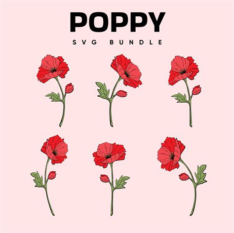 Poppy SVG Designs – MasterBundles