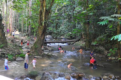 Sungai Siput Boy: Hutan Lipur Sungai Congkak @ Sungai Congkak Recreational Forest