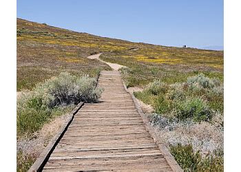 3 Best Hiking Trails in Lancaster, CA - Expert Recommendations