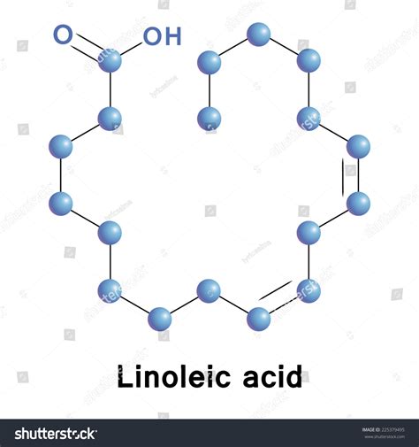 Linoleic Acid Chemical Skeletal Formula Medical Stock Vector 225379495 - Shutterstock