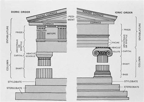 ANCIENT GREEK ARCHITECTURE; Doric order vs ionic order | Architecture ...