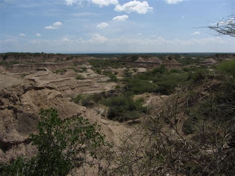 Study Dates Earliest Homo Sapiens in Eastern Africa to 230,000 Years Ago