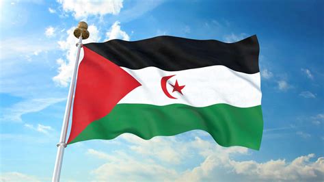 The Flag of Western Sahara: History, Meaning, and Symbolism - A-Z Animals