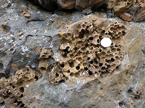 Holes in Limestone © Anne Burgess cc-by-sa/2.0 :: Geograph Britain and Ireland