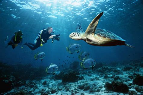 9 Best Spots for Scuba Diving in Thailand